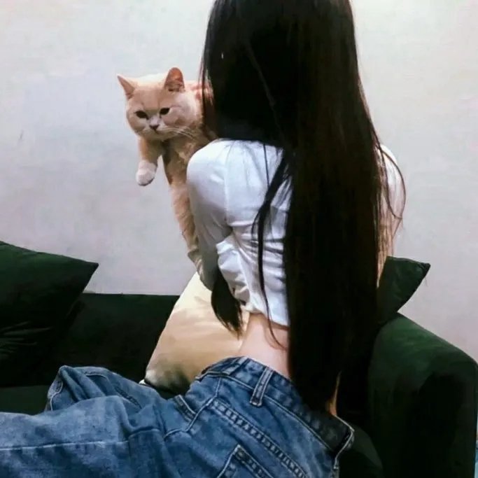 理智与情感